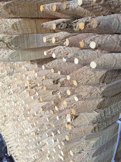 white oak stake|oak stakes for sale.
